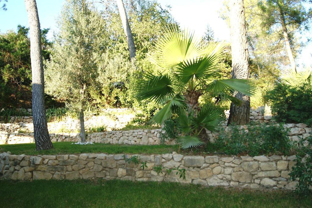 Bed & Breakfast Montpellier Castelnau-le-Lez